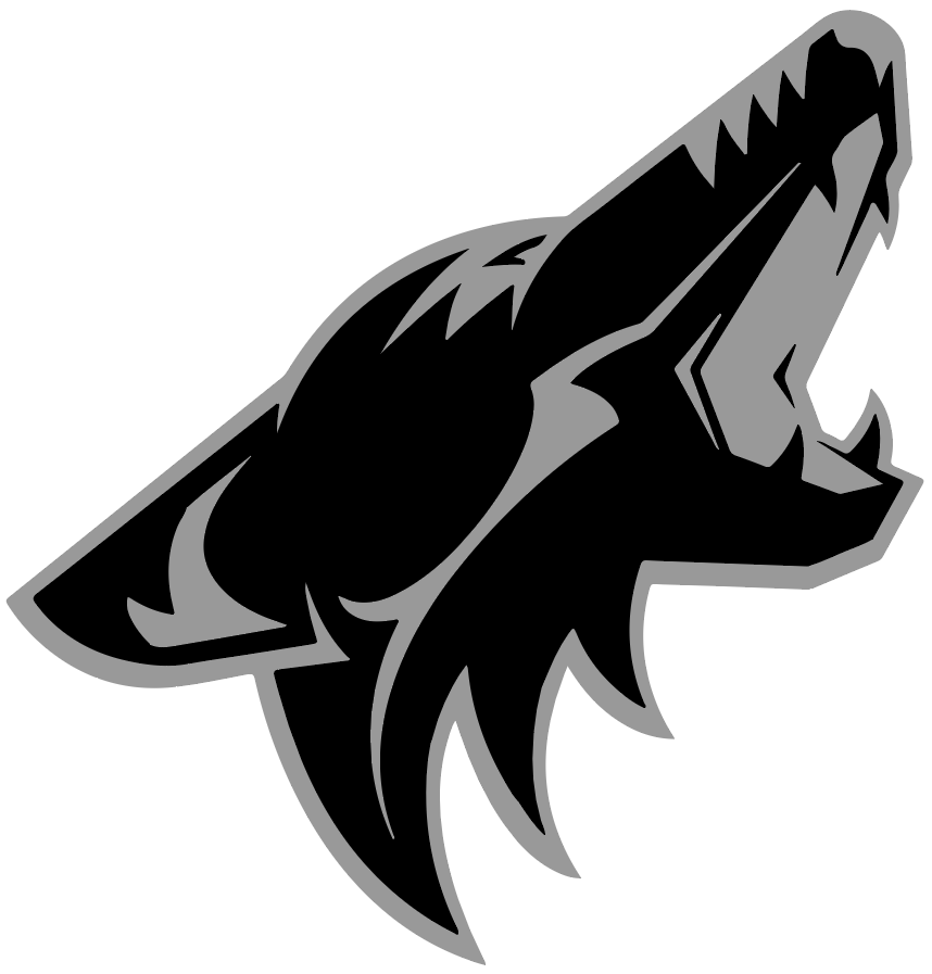 San Diego Coyotes Custom Jerseys