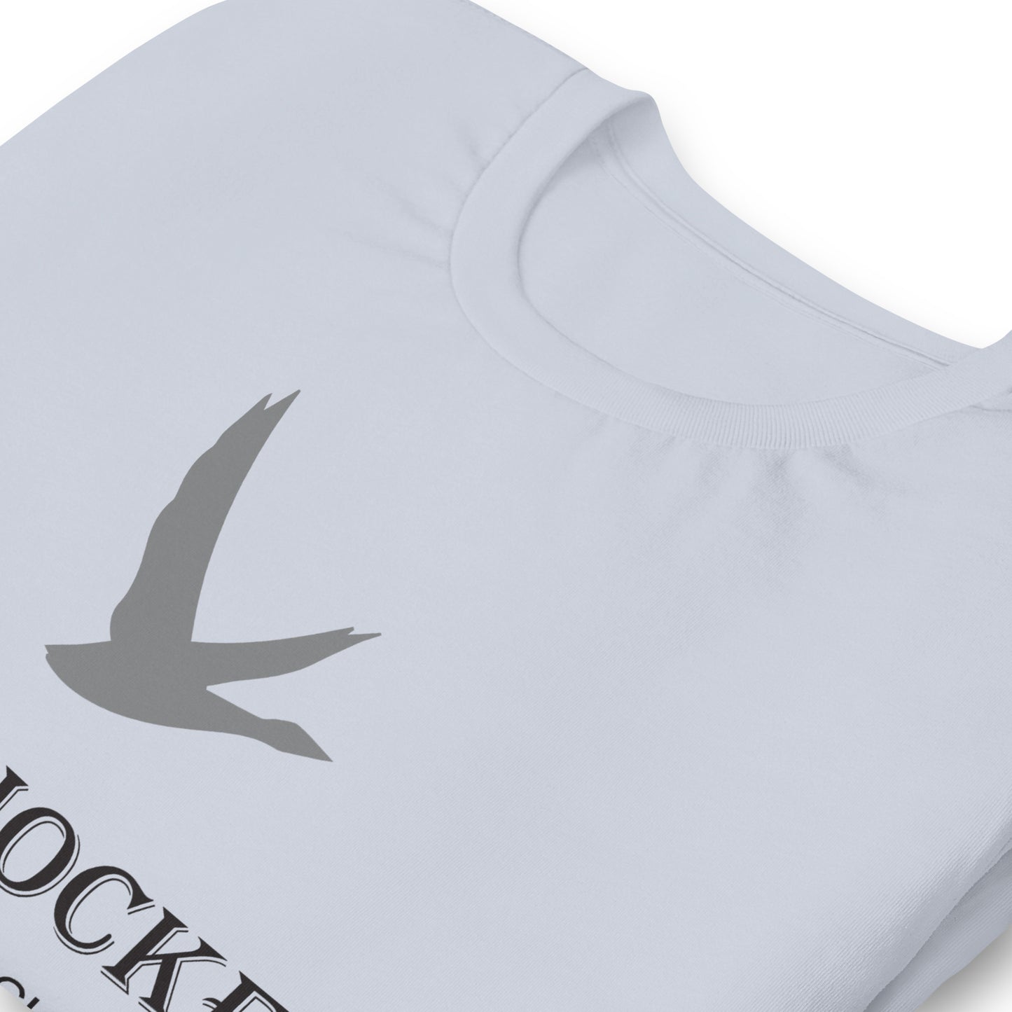 3P1C Goose